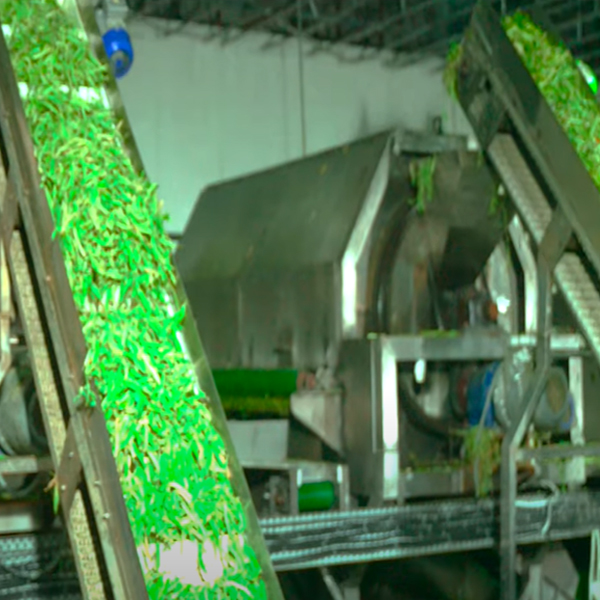 Warehousing Process