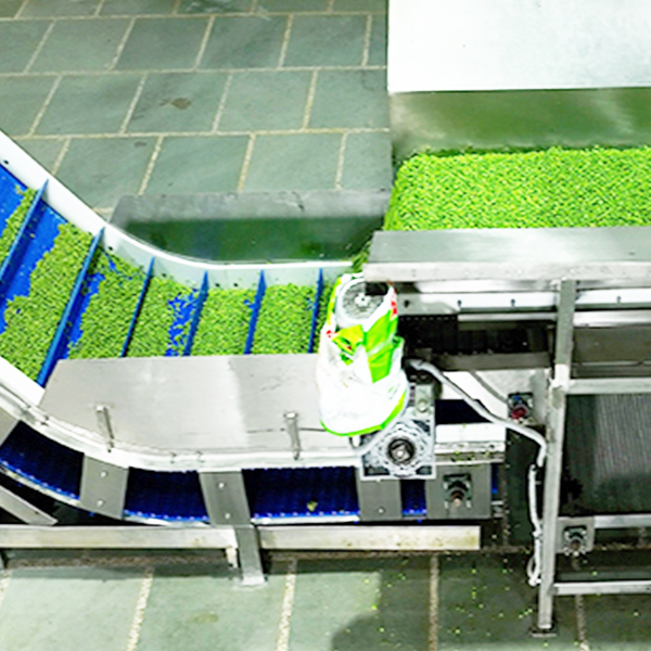 Packaging Process