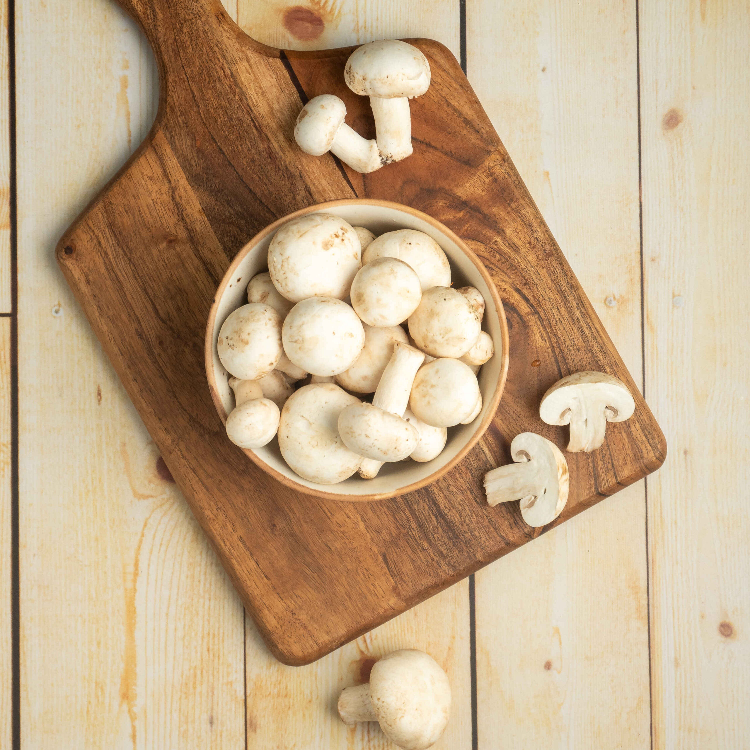 White button mushrooms on climate-controlled beds
