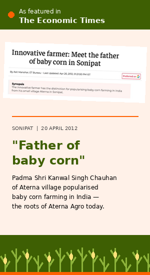 Padma Shri Kanwal Singh Chauhan in his baby corn field at Aterna, Sonipat